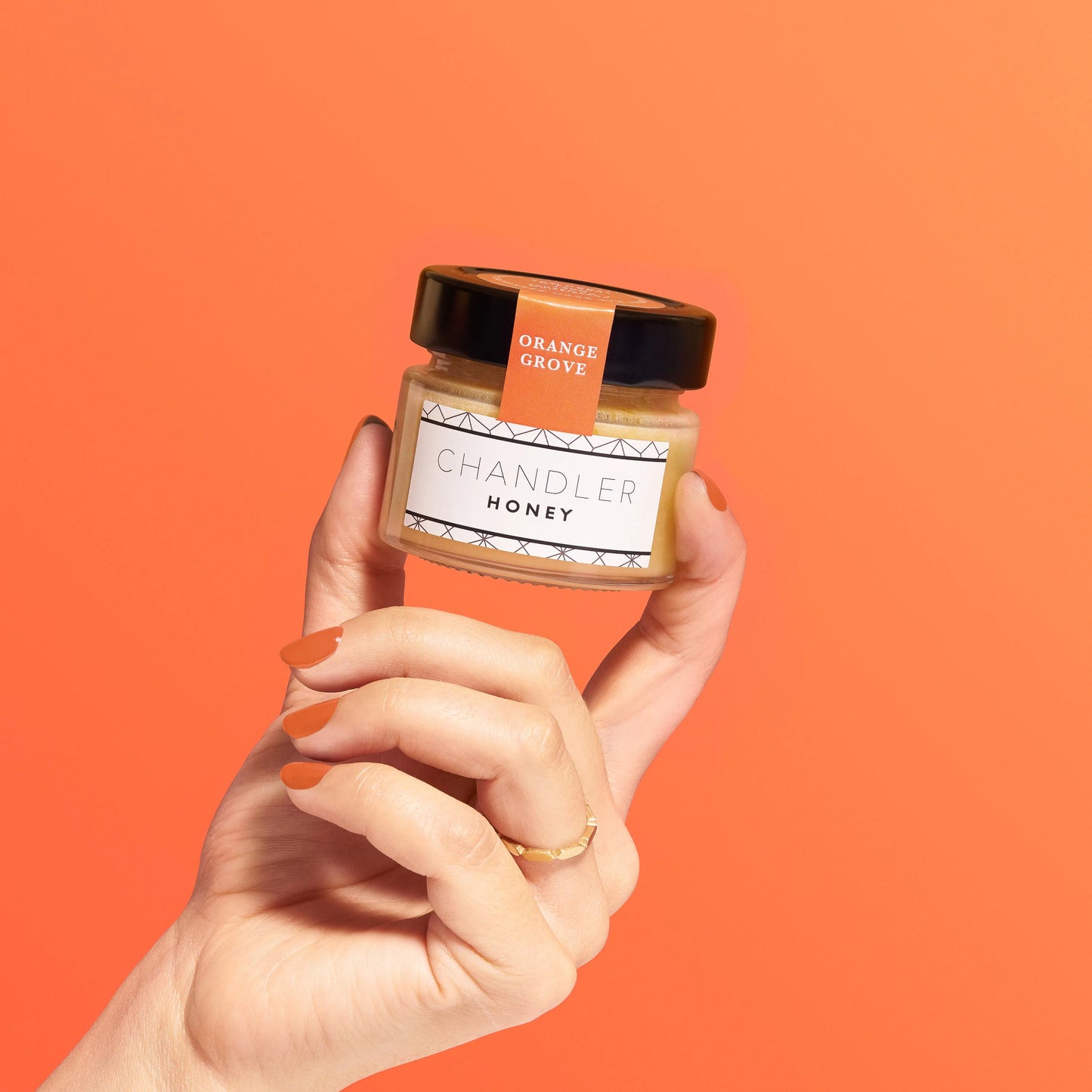 Orange Grove